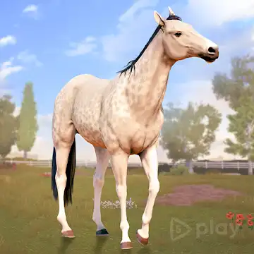 Состязание звезд: скачки